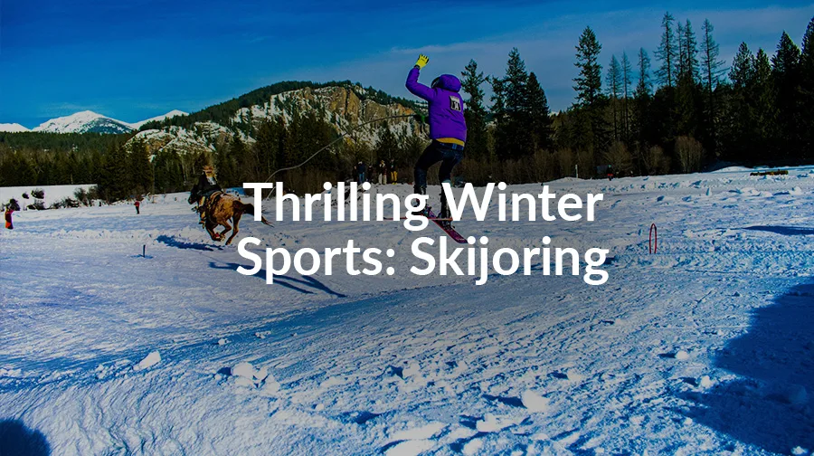 Skijoring: One of Winter’s Most Thrilling (and Least Known) Sports